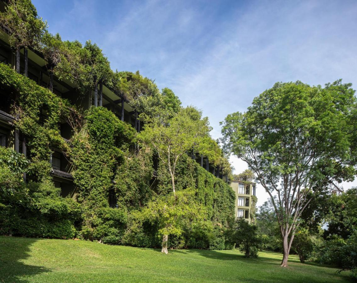 Heritance Kandalama Sigiriya Bagian luar foto The green wall at the National Gallery Singapore